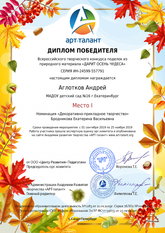 Диплом победителя.png