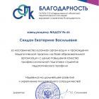 Благодарность за наставничество в рамках организации и прохождении педагогической практики.jpg